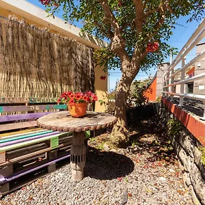  Gospodarstwo wiejskie Casa Camelias Portugalia